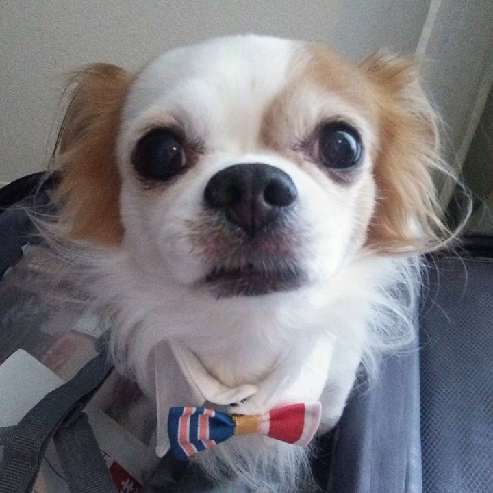 Beb2be3e bbad 4b88 a80b fea98a879e05