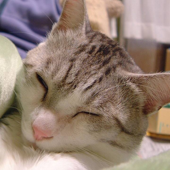 Beb2fb53 e9d9 4383 90d2 f269f75eb8f1