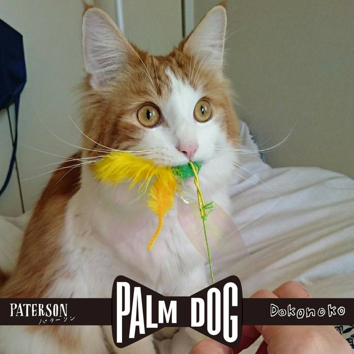 Beb345b0 c989 4e3d 94f9 58a552625311