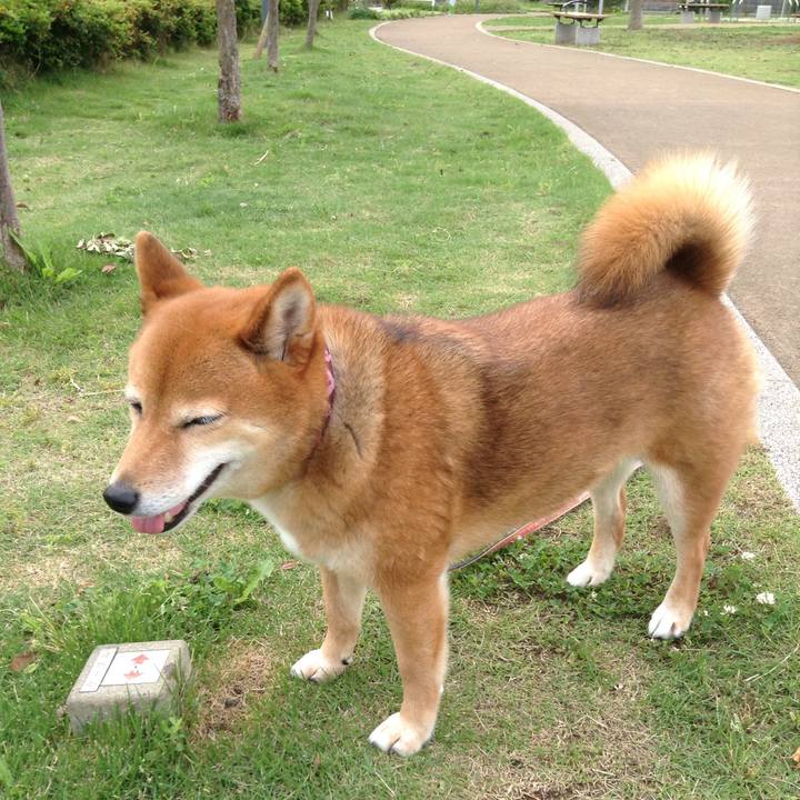 Beb35d70 8abc 42a2 962c d569ef8fbb33