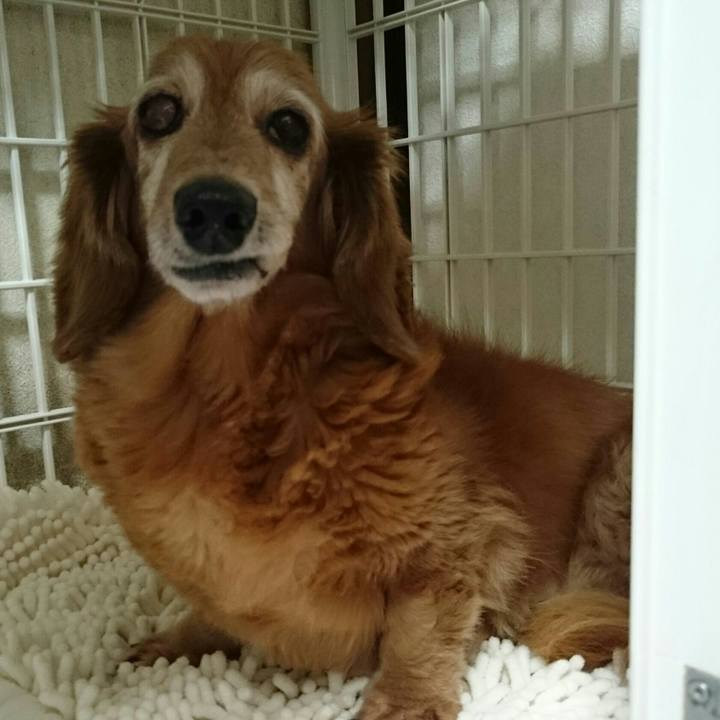 Beb362d1 6a61 4349 8e90 ef58d66740cb