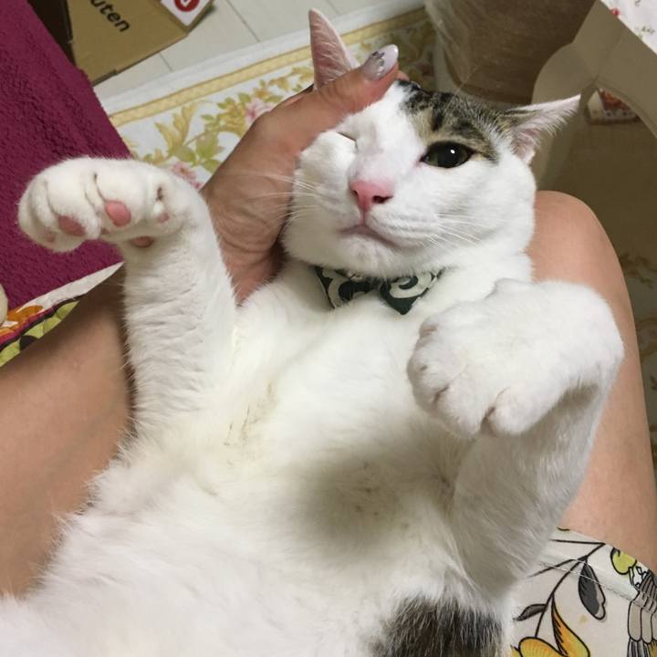 Beb37f9a 17b5 43de 9566 d6510c467d25