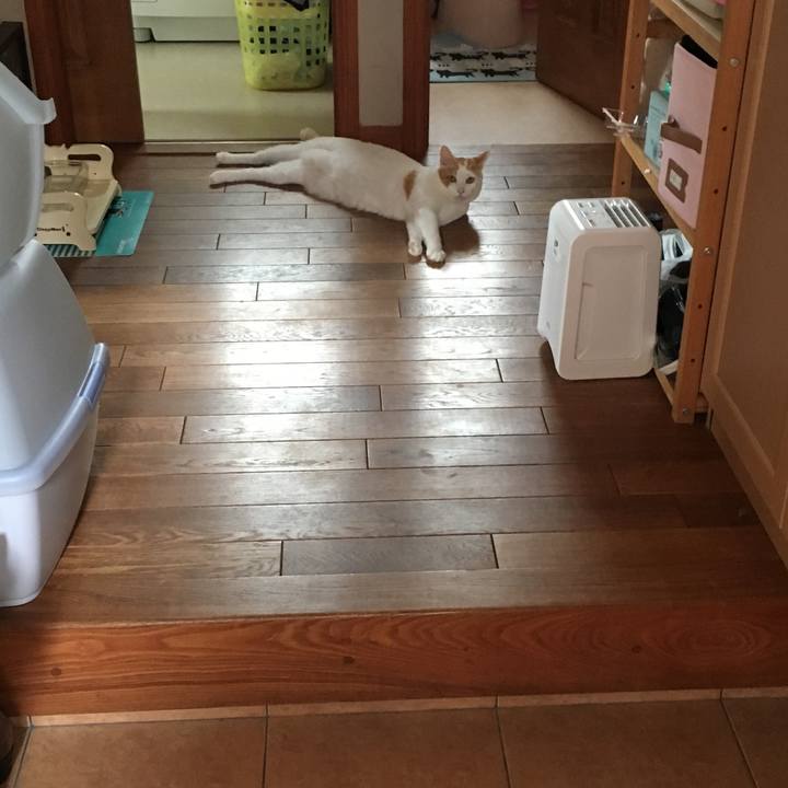 Beb389f2 8553 49fb 8a33 34128cec7600