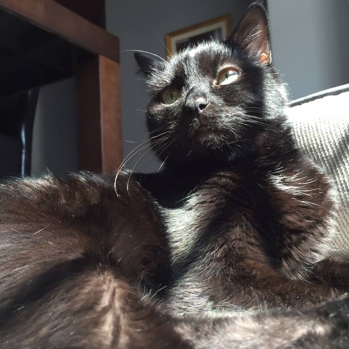 Beb3ea3c 2c56 4ce2 b4bb fbe52b48b617