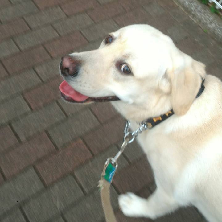 Beb4ec09 fcdb 4739 b96d de4e6435b50b