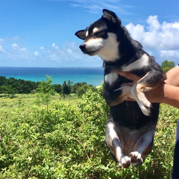 Beb5147c 0e0d 466d a538 d130b39c63f5