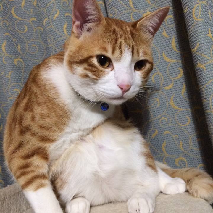 Beb59eb4 ad41 41d7 9e13 3c4e7efc9452