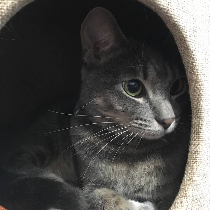 Beb5d98b 8943 4b34 9c49 bbc6c22cf993