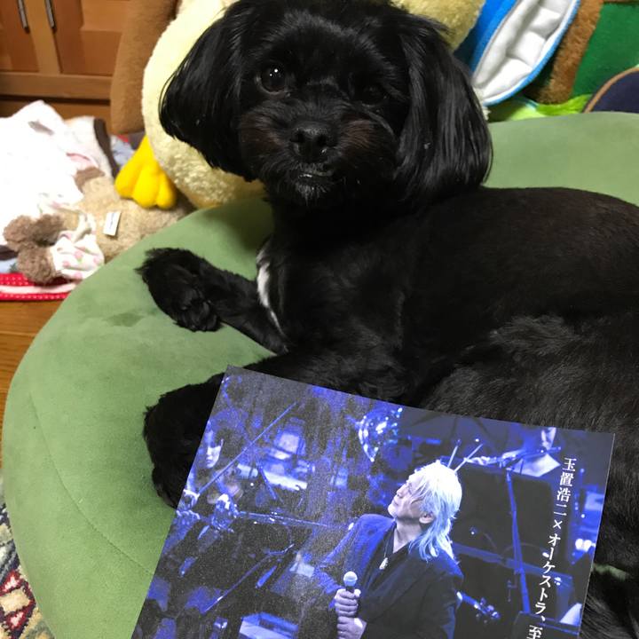 Beb65b7a d103 43ec b607 599ec22324a1