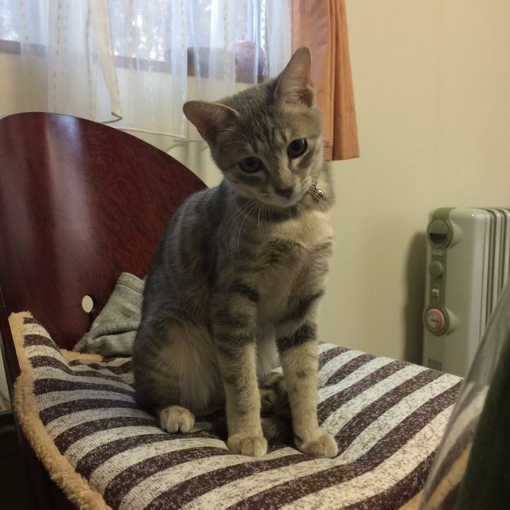 Beb68402 4376 4876 b767 32f3d71adf34