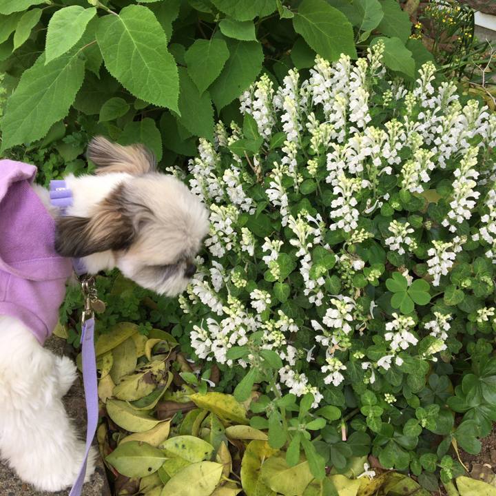 Beb6cb5a dd83 427d 97bd 58bc81188768