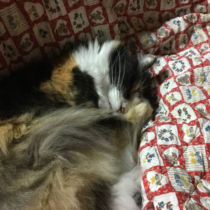 Beb71136 553b 4ff5 938a 4b3937f888cd