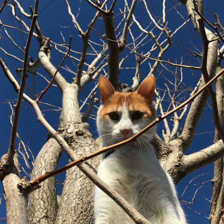 Beb72f07 1be1 4674 9fb6 4d1f8753e891