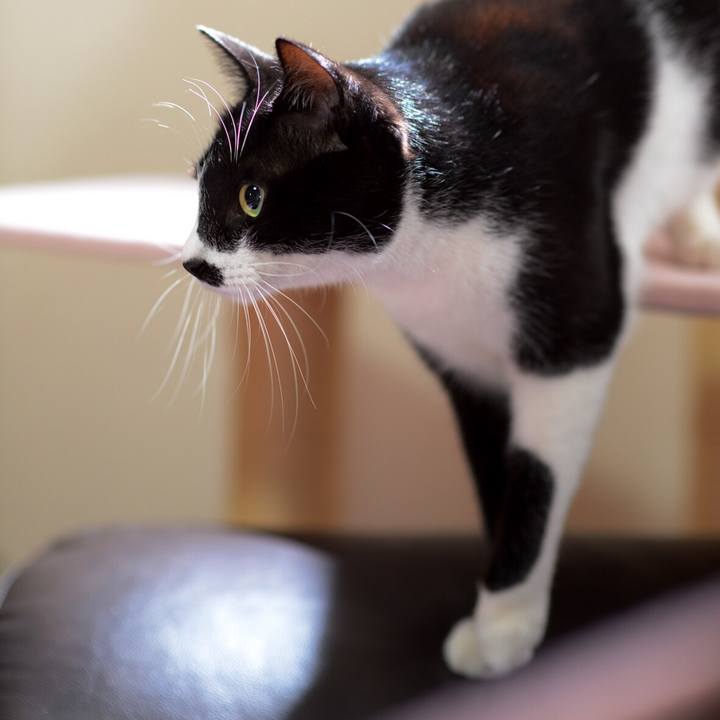 Beb7427c 7681 48a8 8619 252ee824ba55