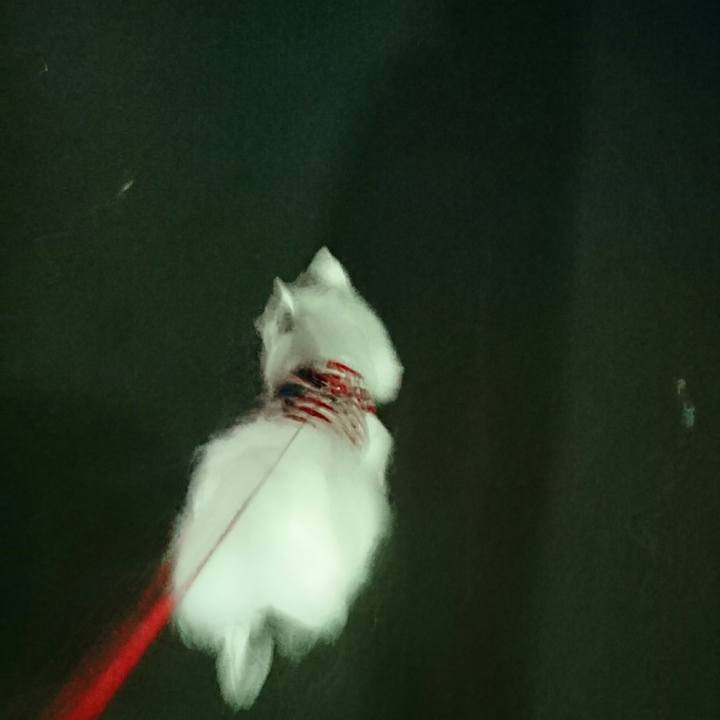 Beb768d3 536e 44f9 b1dd b3cc1a6a7168