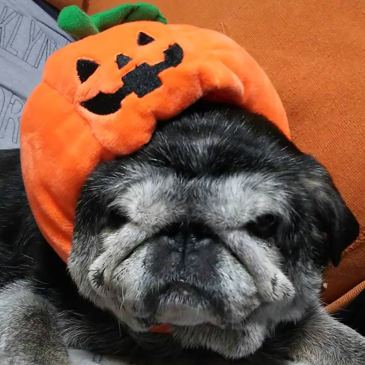 Beb8188c debc 4e2f bf71 39409700d703