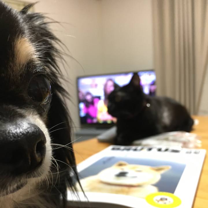 Beb82ab5 6f7f 44d0 93f7 a77b3f5892f4