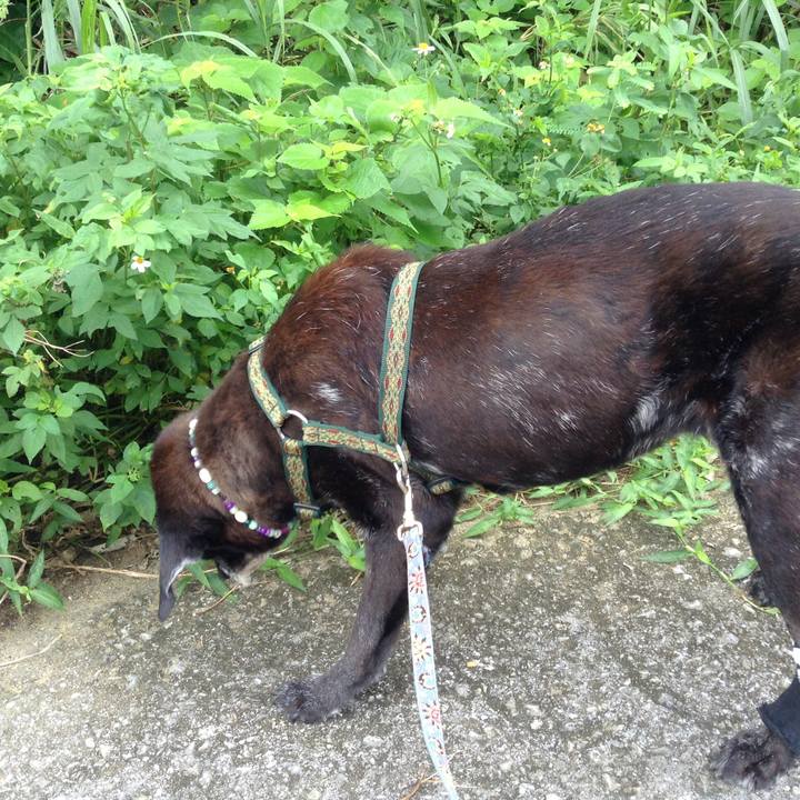 Beb83b1f f7e6 44db 8d8f 089fb16d1e94