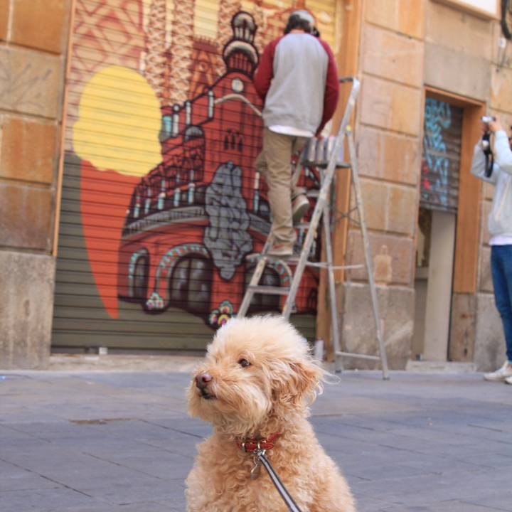 Beb8c208 242b 4957 97a4 f06a8bcd44bc