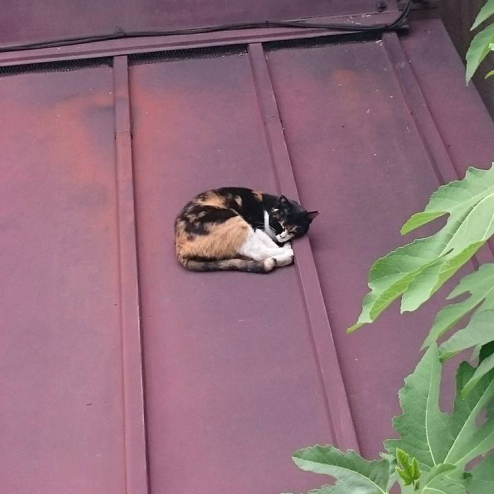 Beb929fe 3086 48c8 9fe4 4f38490a758b