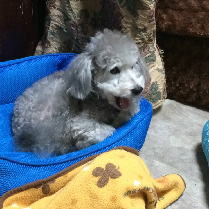 Beb94a78 5244 4fee 8d0e 1eafc8b32775