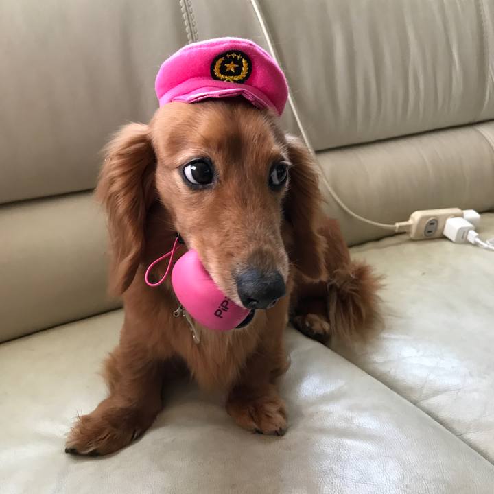 Beb9641b 7b65 4ec7 918b dc34b2a58374