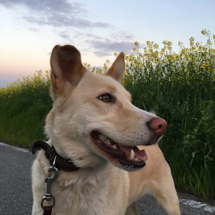 Beb9bf9a 26bc 4ef0 8608 fce5ab570d89