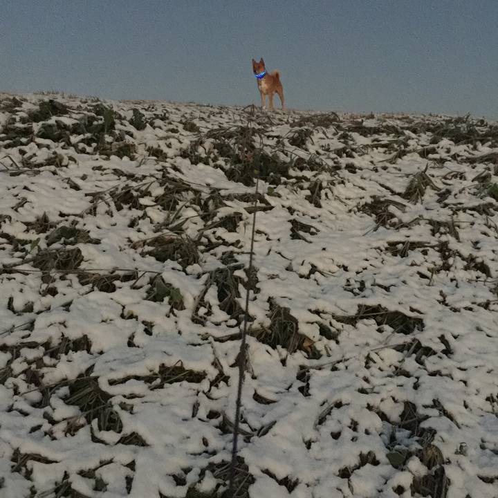 Beba57b2 e360 43a3 8294 a86b2dfdbeeb