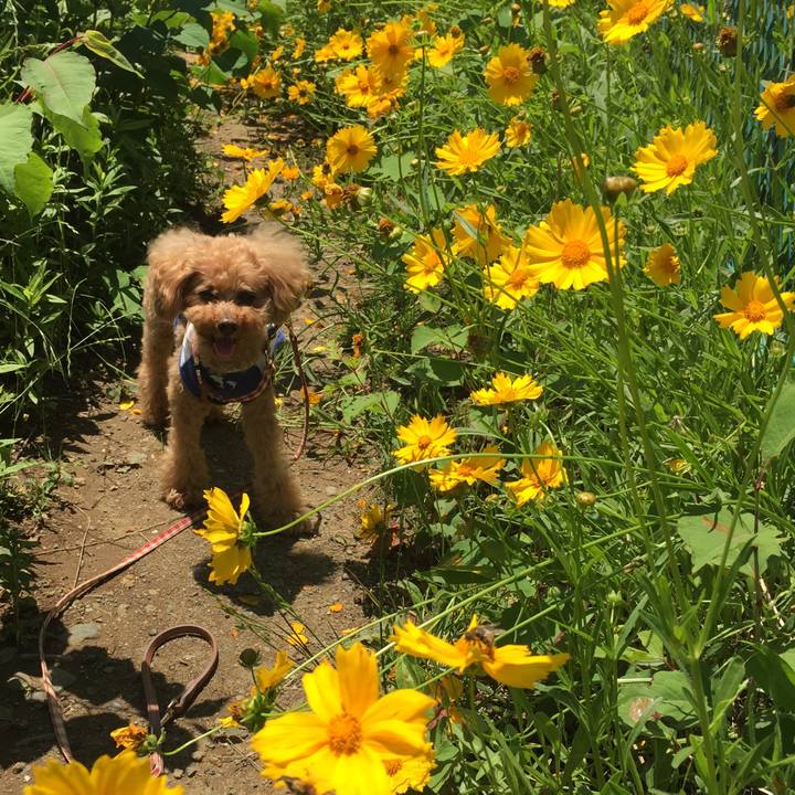 Bebb21be 1540 4f43 ac16 49e602654013