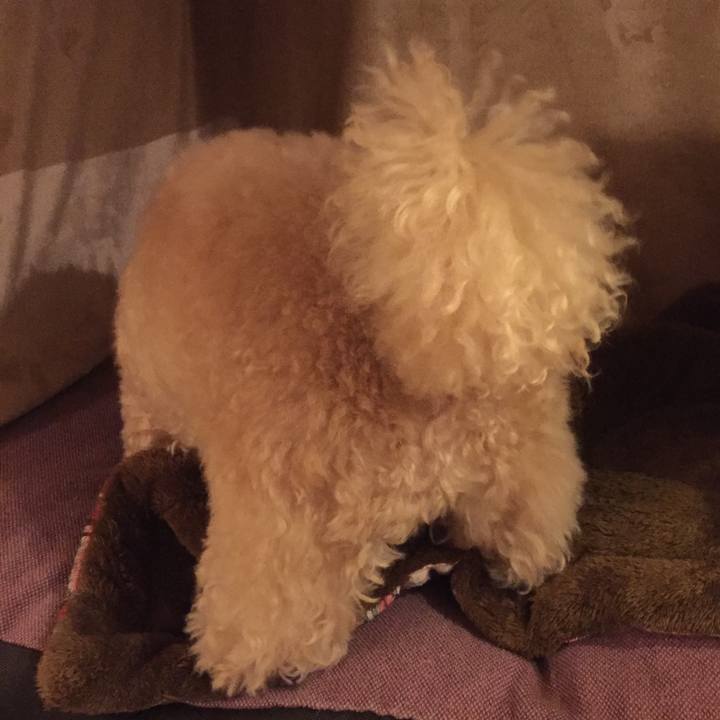 Bebb2684 5504 4dc2 a517 20cfd131d520