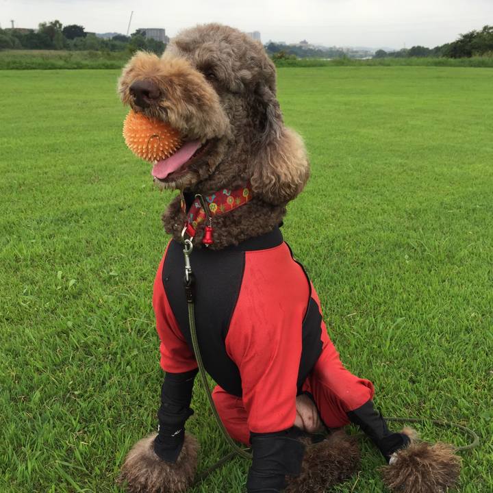 Bebb8329 d7b5 4f8f a779 b15ad4ccee35