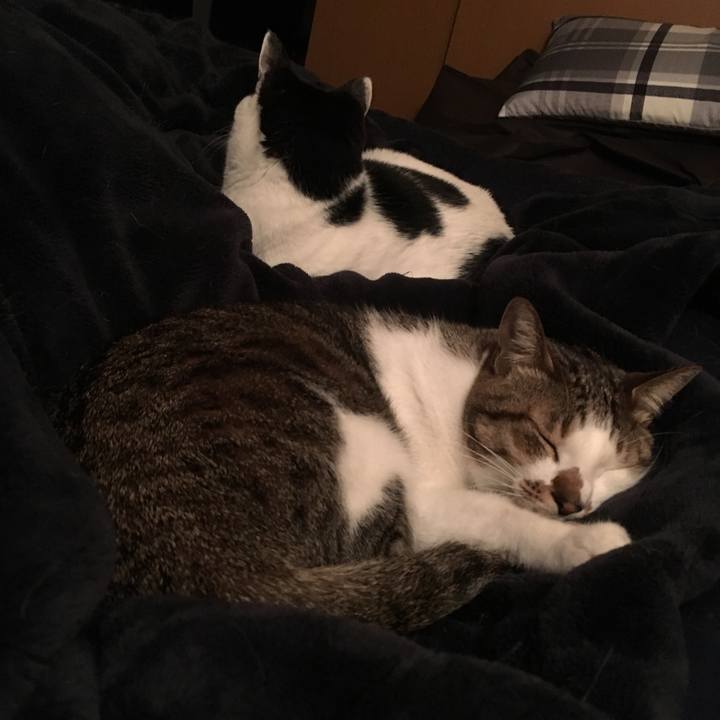 Bebba274 c4e0 46ef 86c6 91fcd5f162ec