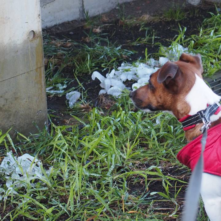 Bebba6a1 e201 4e40 aa00 bfec4100a351