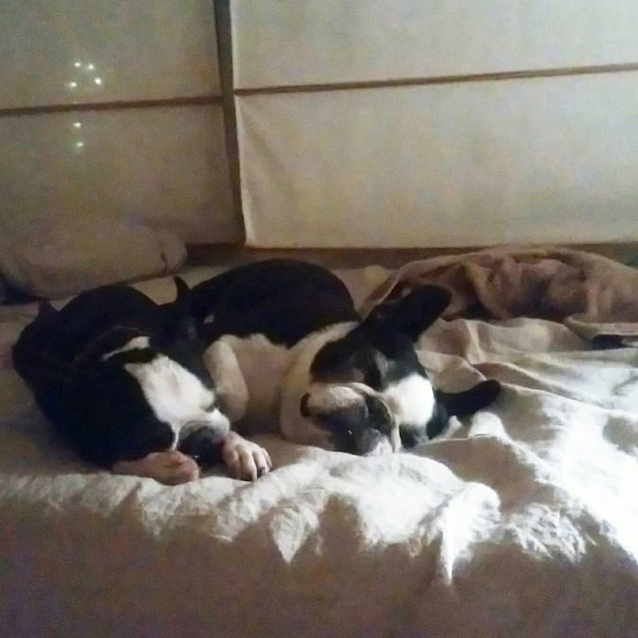 Bebbd29e aa57 42ec abce e62cd604a9d8