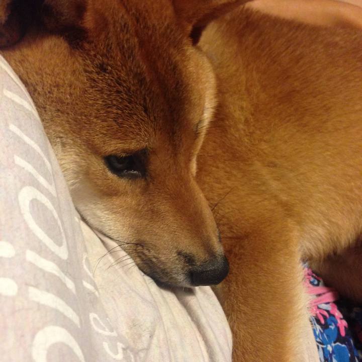 Bebbe9ad 1596 45b3 9cd6 bf5c91efa953