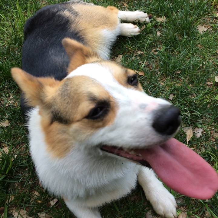 Bebcbb75 dd80 4114 9da0 d1beea65d7f5