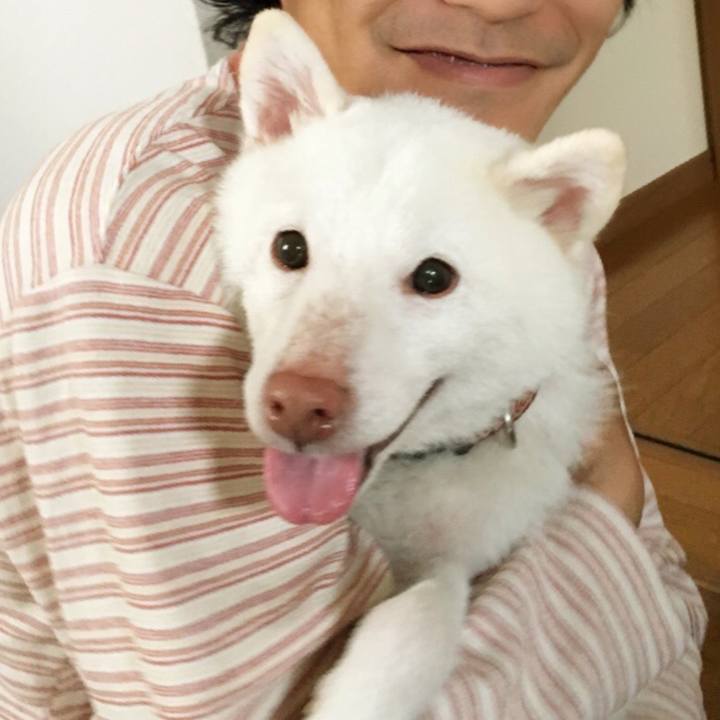 Bebdc898 817f 4163 9306 4f4f45ef80dd