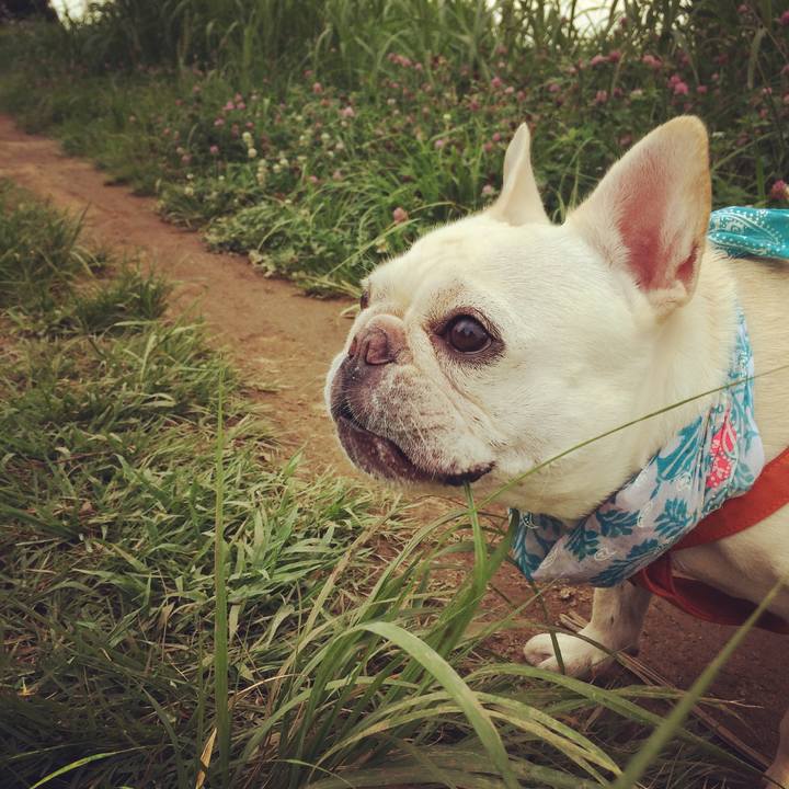 Bebdfacd 98e2 46ac 9476 65431f3d4601