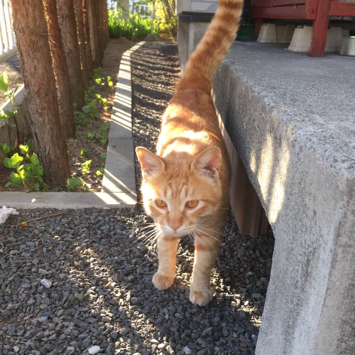 Bebe6a61 a9bd 424e b74d 48d2a38db165