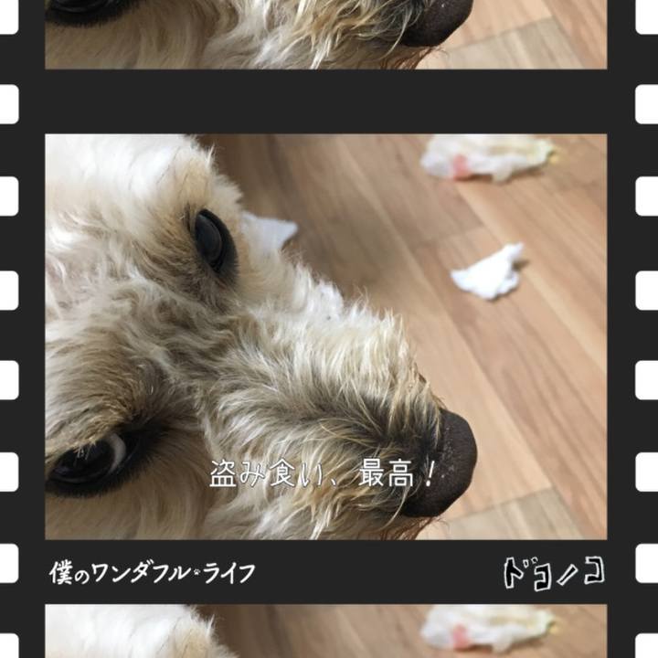 Bebe846d 6e12 4e45 8ec6 dd270f52e775