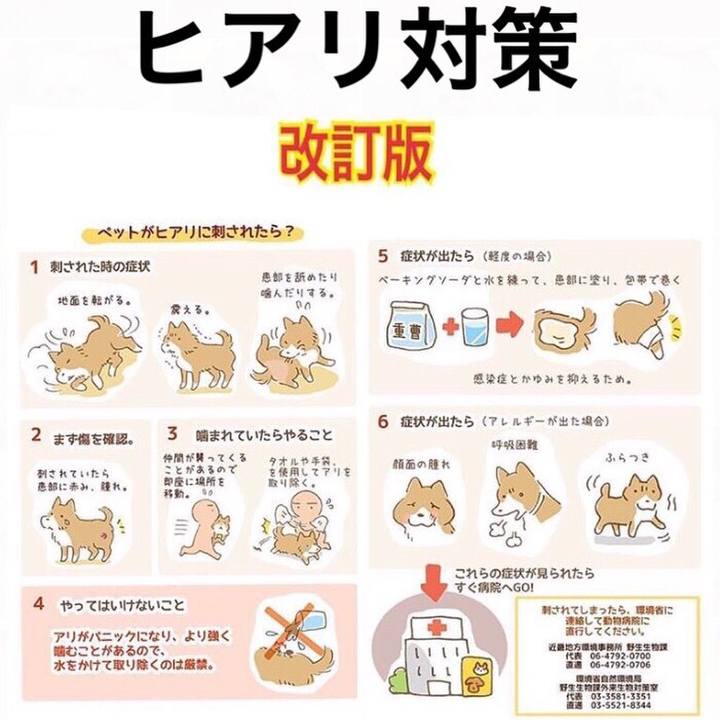 Bebf203b c9a0 4305 b988 6d87e10997ea