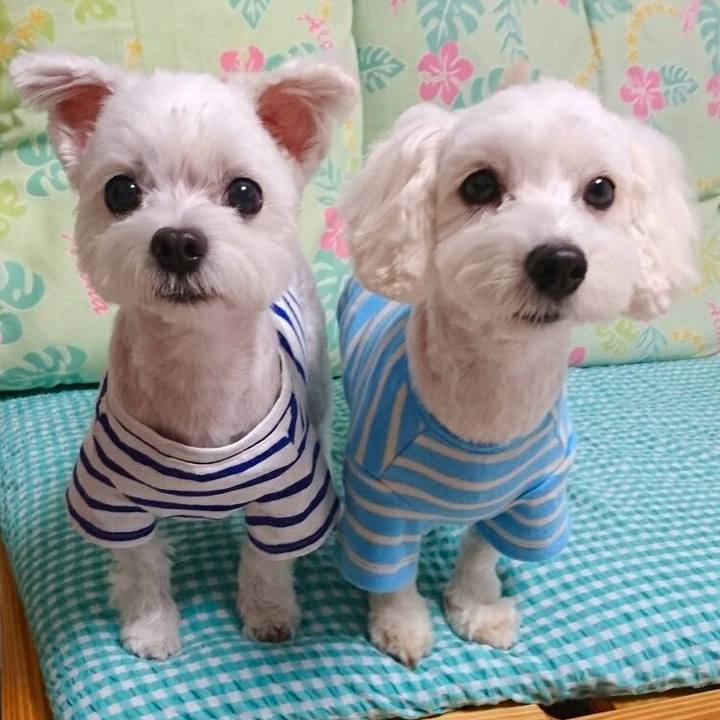 Bebf79f3 053e 4e78 b6d4 4f15d676e0a9