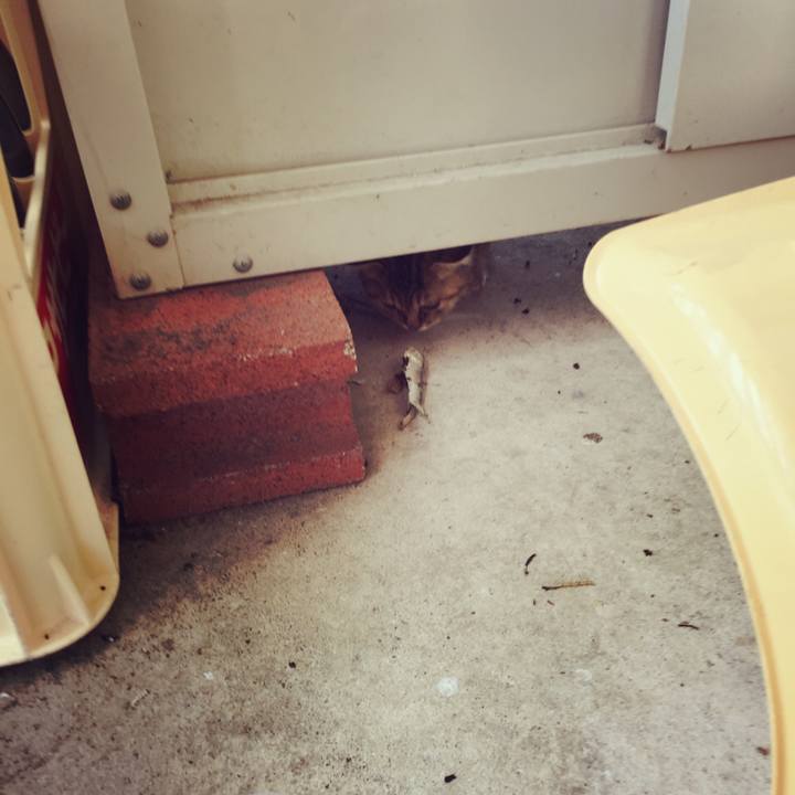 Bebf8740 39be 4a3c 9954 bf1707742810