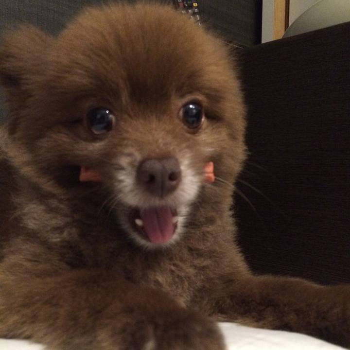 Bebf9775 690f 4ba1 8000 b918ac867986