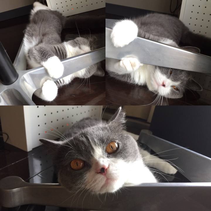 Bebfc372 cae4 4fd4 8d5f 4ee8b723f758