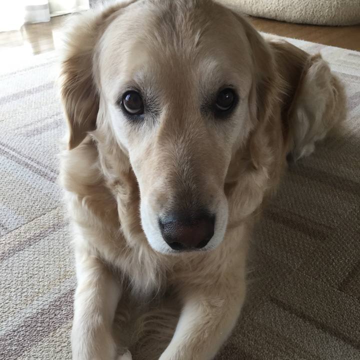 Bec007a4 cbd6 4786 9199 0902cd22ac71