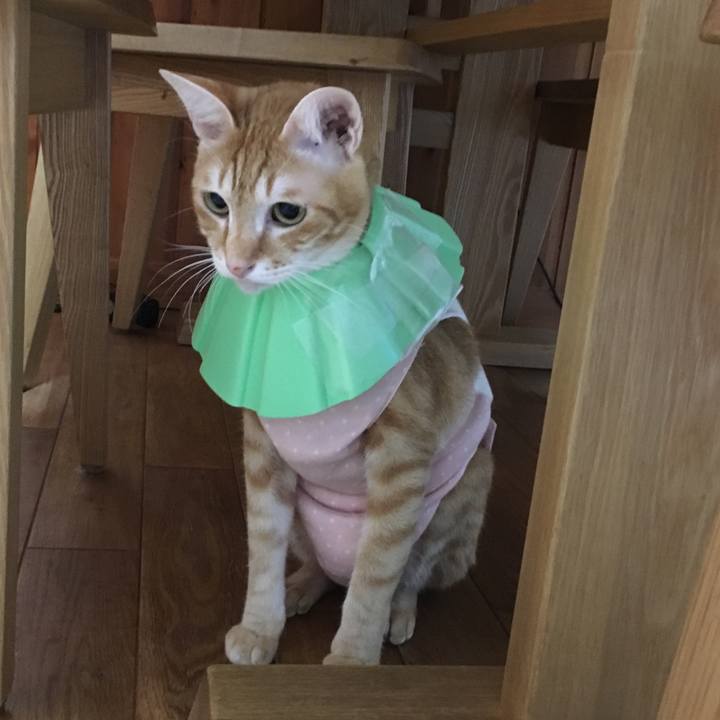 Bec06148 5dd8 41e3 9dba a4a21eab2188