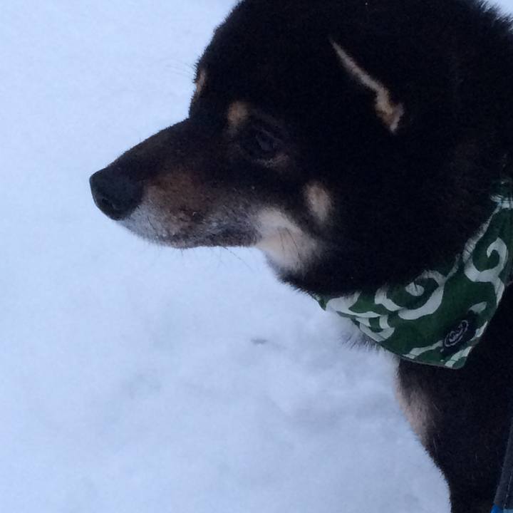 Bec0beca d5c3 48b5 9ca5 cf06ed3efb8d