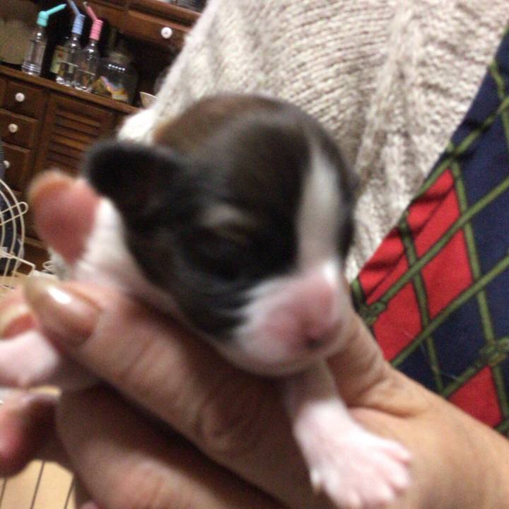 Bec0d307 fbf2 46e9 af26 ffe036ae9237