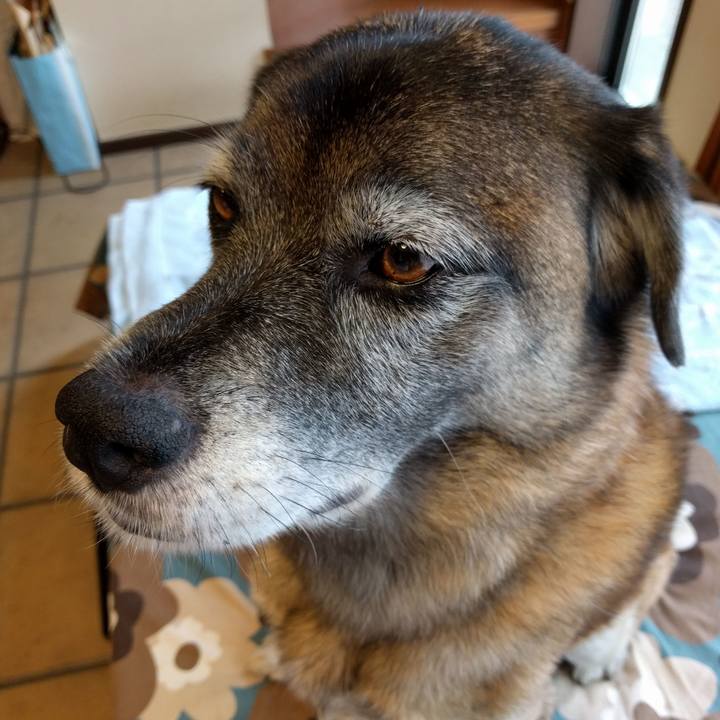 Bec0f312 053f 418b 8450 3ccf0b41c402